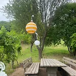 Vine Kaptalantoti