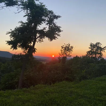 Apartmán Vine Kaptalantoti