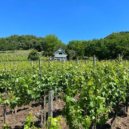 Vine Apartmán Kaptalantoti