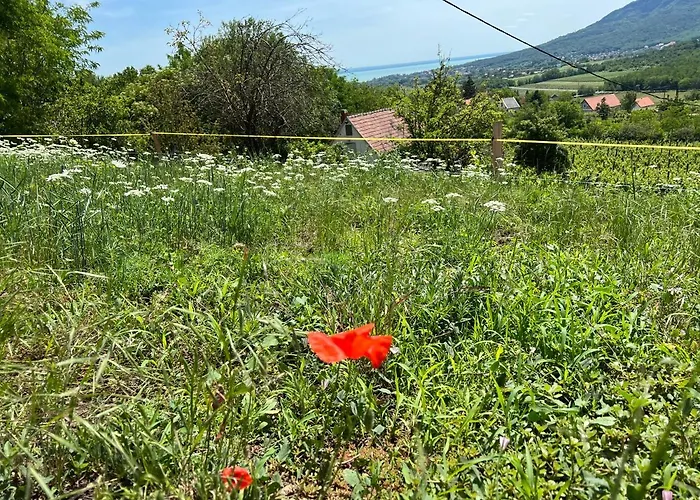 Vine Appartamento *